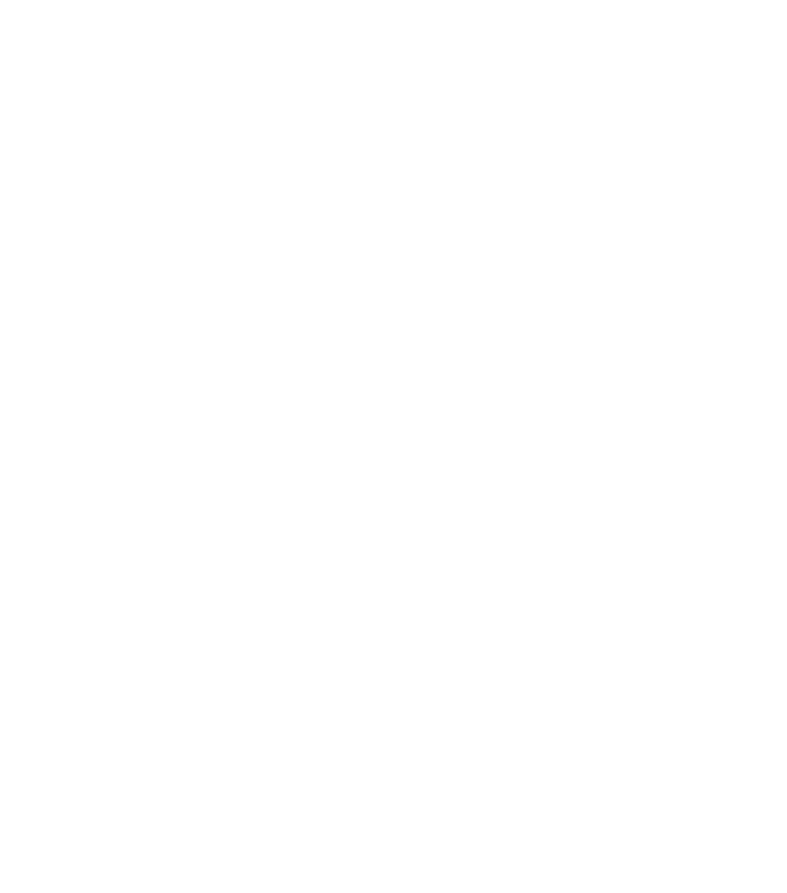 Zayn Global Logo